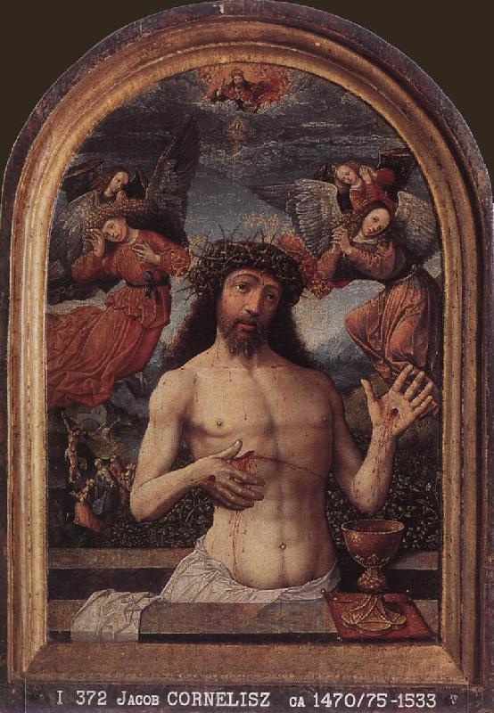 CORNELISZ VAN OOSTSANEN, Jacob Man of Sorrows dfg France oil painting art